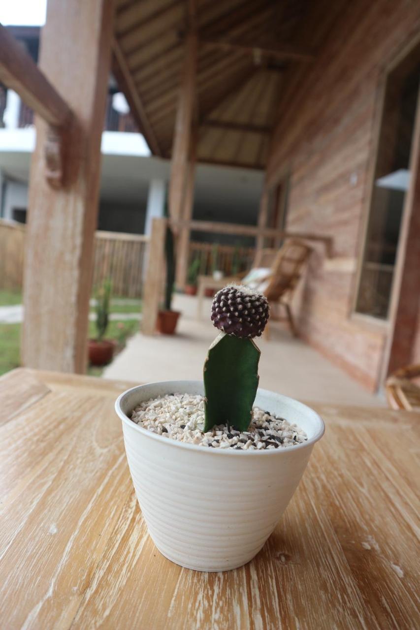 Lazy Inn Kuta  エクステリア 写真